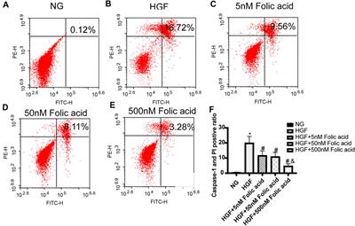 Folic Acid Alleviates High Glucose and Fat-Induced Pyroptosis via Inhibition of the Hippo Signal Pathway on H9C2 Cells